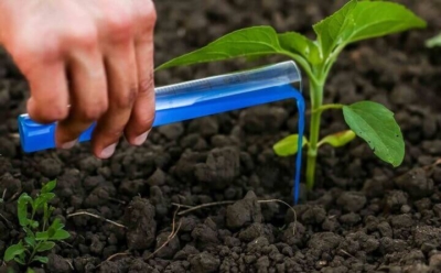 خدمات سم فروشی ربانی در بوشهر