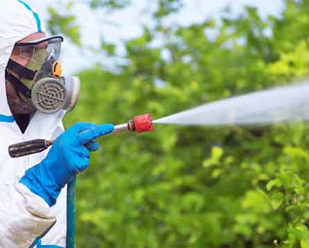 معرفی سم فروشی ربانی در بوشهر